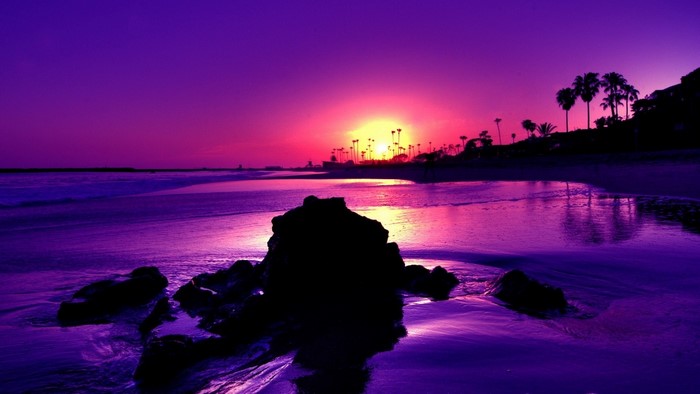 Purple sunset over a beach with palm trees