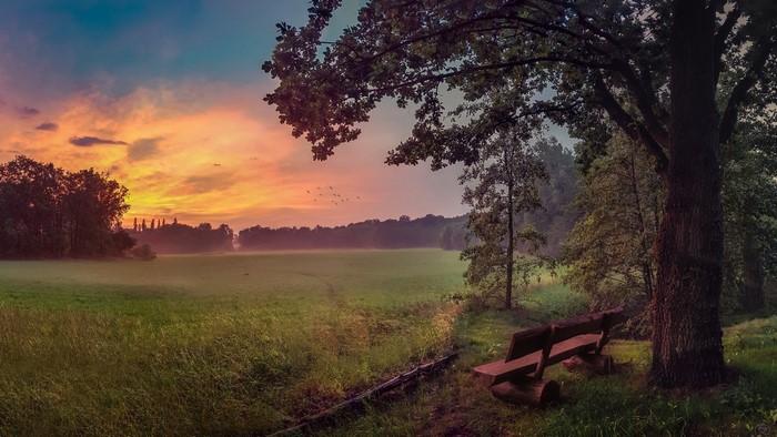Sunset over a misty field with a bench