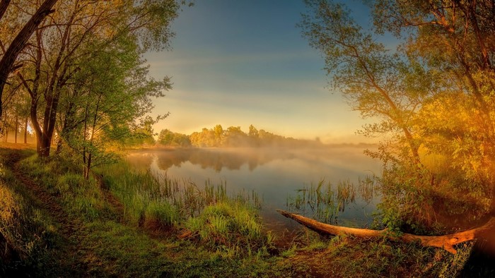 Mogilev Region Belarus, Lake with Fog and Trees