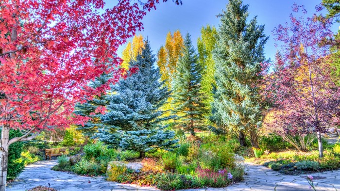 Autumn park with colorful trees and stone path
