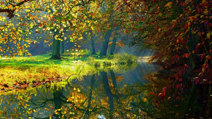 Autumn trees reflecting in a calm river