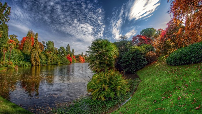 Autumn lake with colorful trees and blue sky