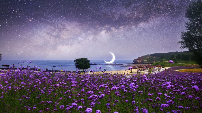 4K Surreal Night Sky Over Purple Flowers and Ocean