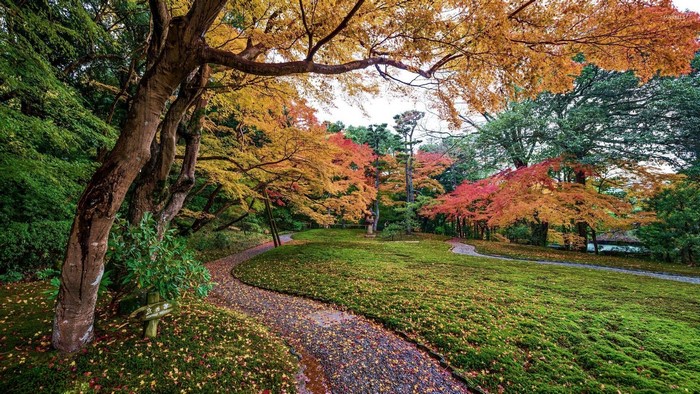 Autumn park with colorful trees and a path