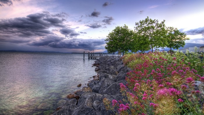Flowers and trees on a rocky shore by the water