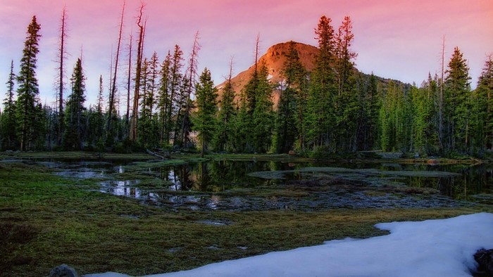 Swamp in a forest with a mountain at sunset