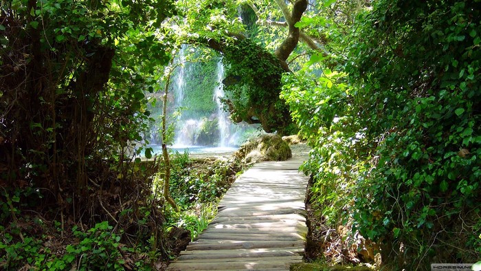 Wooden path leading to a waterfall in a forest