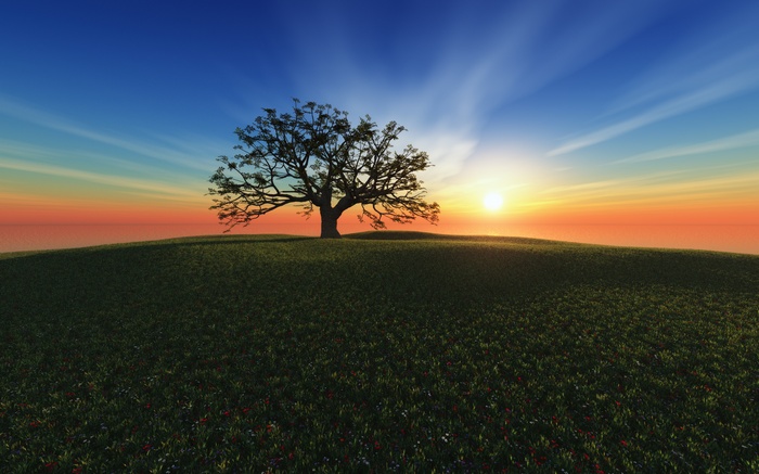 Lone tree on a hill at sunset