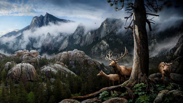 Elk herd in a misty mountain landscape
