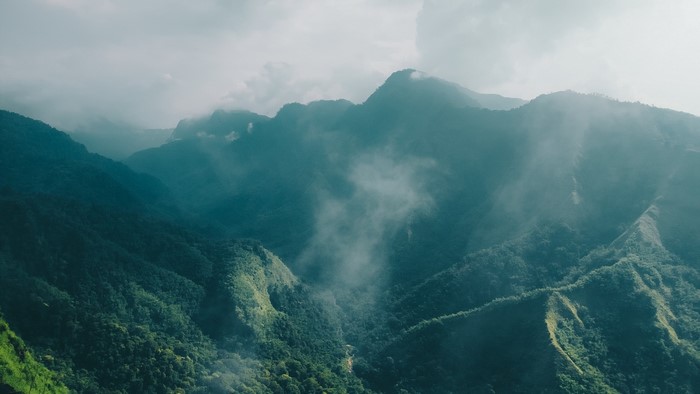 Aerial view of misty green mountains