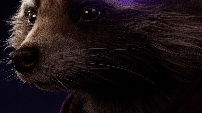 Rocket Raccoon from Avengers Endgame