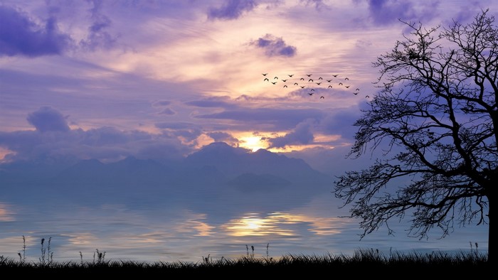 Sunset over mountains with birds and tree