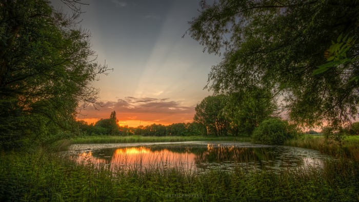 4K Dawn over a Pond with Trees