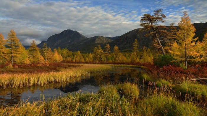 Autumn forest and mountains reflected in a lake