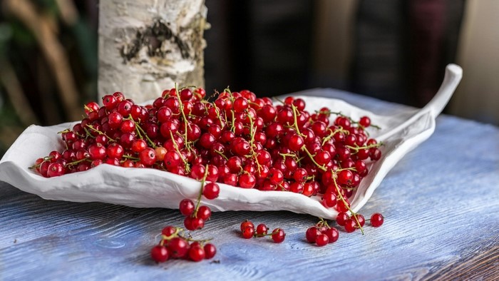 Red Currants in a White Leaf-Shaped Bowl
