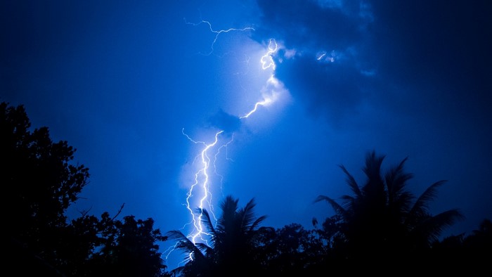 Lightning strike over dark trees