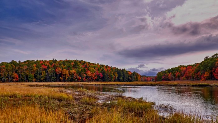 Autumn forest and river under cloudy sky