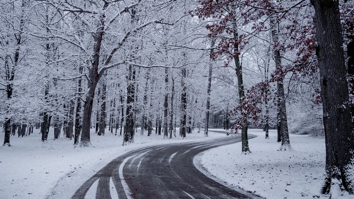 Winding road through a snow-covered forest