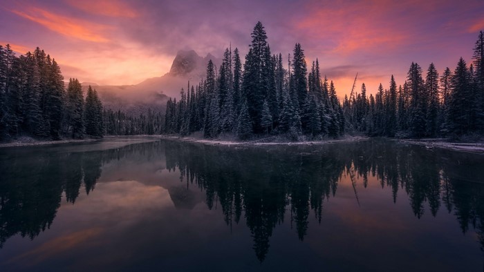 Forest lake reflection at sunset