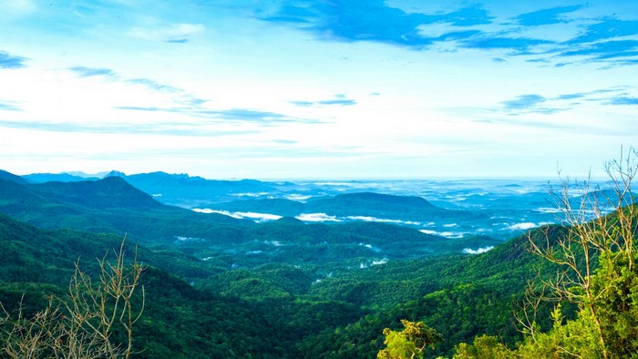 Mountain range with green forest and clouds