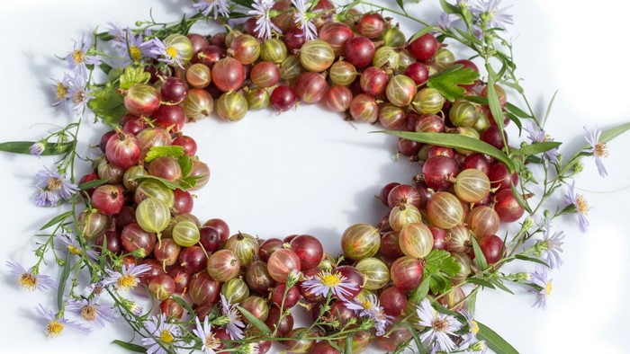 Gooseberries and purple flowers arranged in a wreath