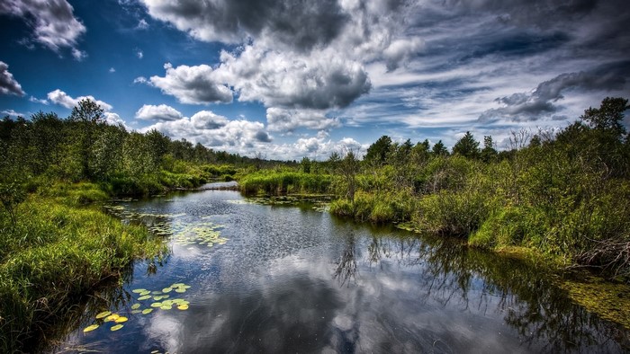 River flowing through a lush green landscape under a cloudy sky