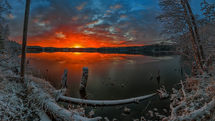 Winter dawn over a frozen lake with snow-covered trees