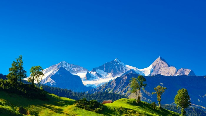 Snow-capped mountains in the Swiss Alps under a clear blue sky