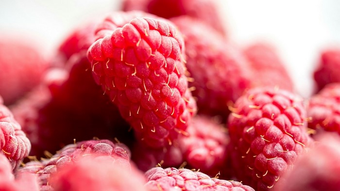 Close-up of fresh raspberries