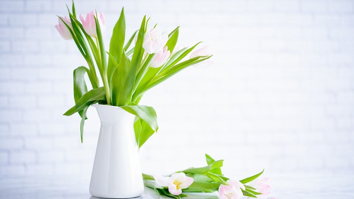 Pink tulips in a white vase