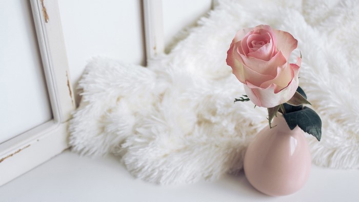Pink rose in a vase on a fluffy blanket