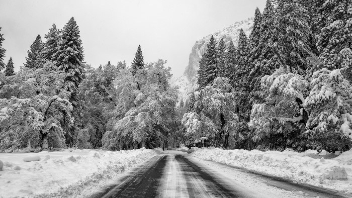 Snow-covered road through a forest in Yosemite Valley