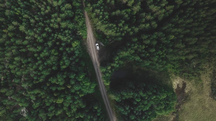 Aerial view of a white car on a dirt road through a dense forest