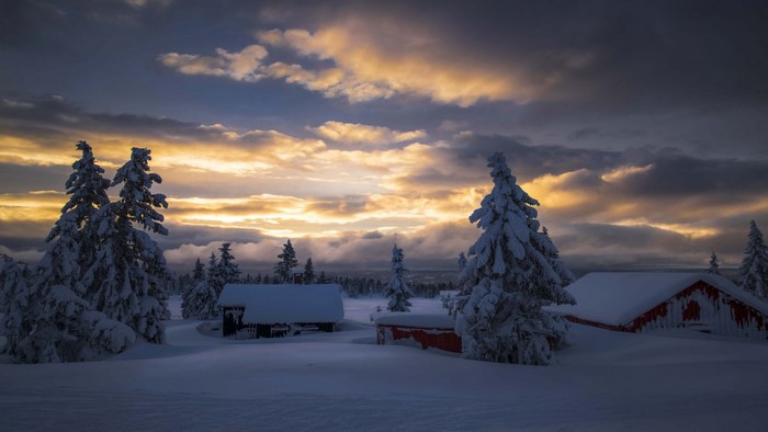 Snowy cabins and trees at sunrise