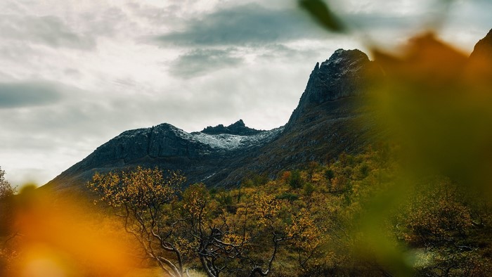 Mountain landscape with autumn foliage