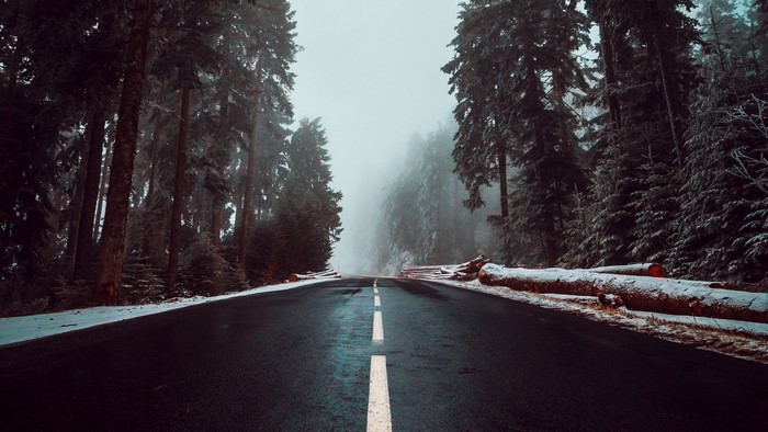 Road through a foggy winter forest with fallen trees