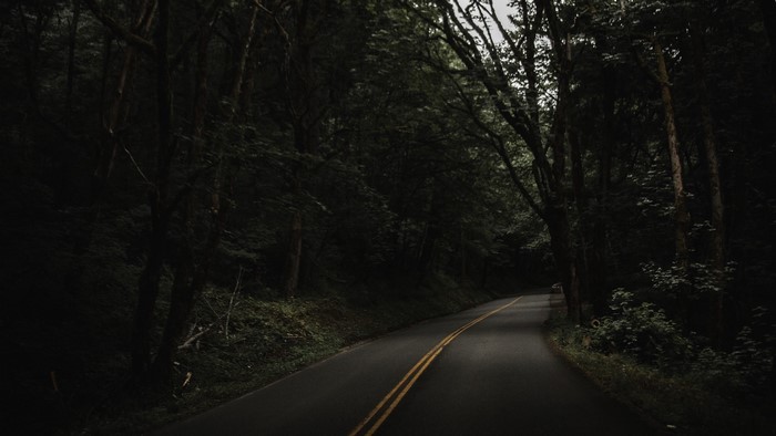 Road through a dark forest