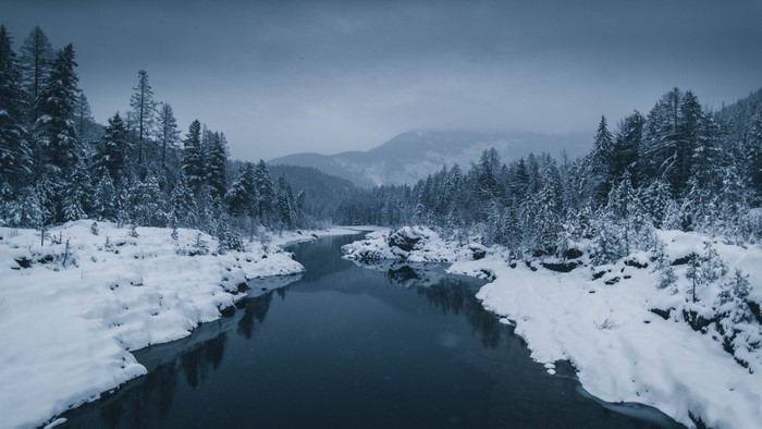Snowy River in a Winter Forest