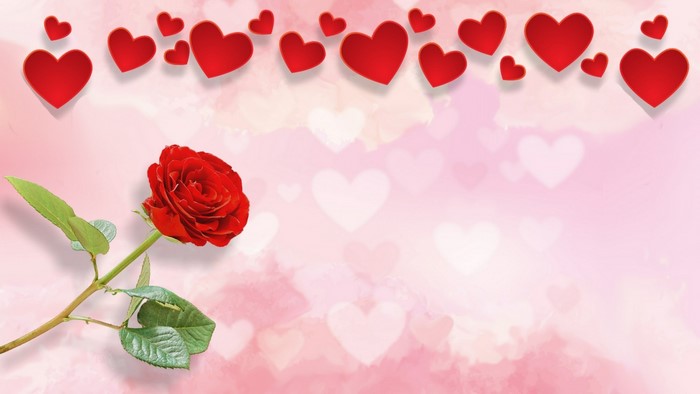 Red Rose and Hearts