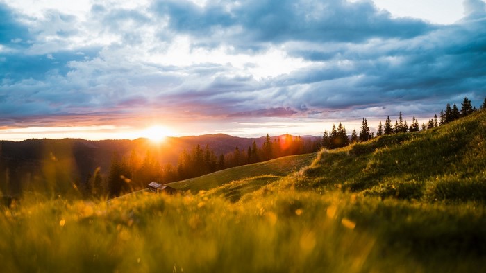 Sunset over a grassy mountain landscape with pine trees