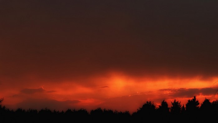 Fiery sunset over a silhouetted forest