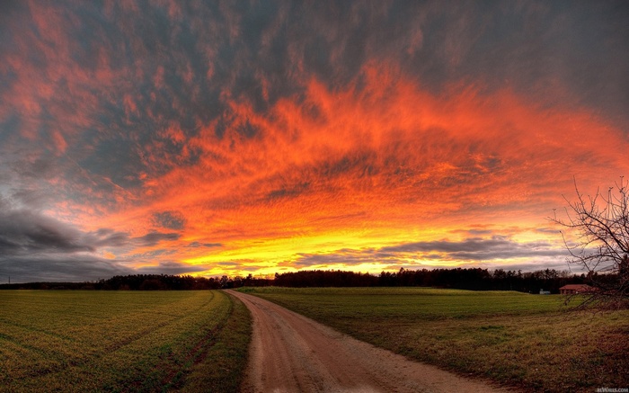 Dirt road through a field at sunset