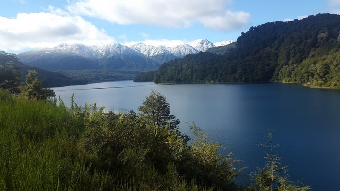 Lake and snow-capped mountains with forest