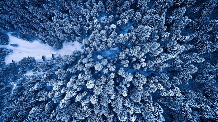 Aerial view of a snow-covered forest with cabins