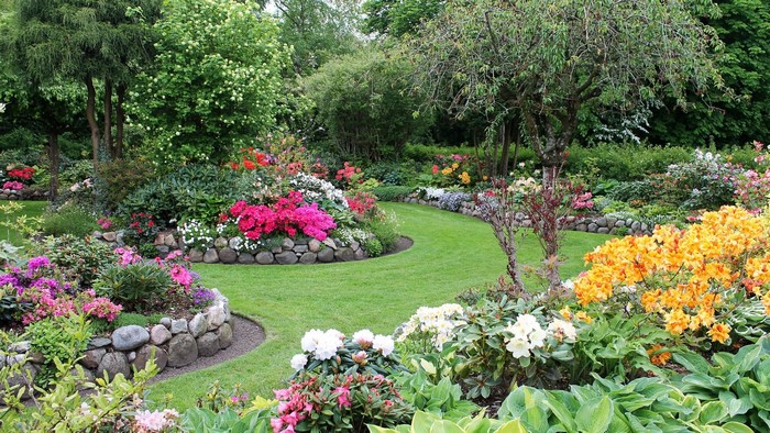 Beautiful garden with blooming flowers and green grass