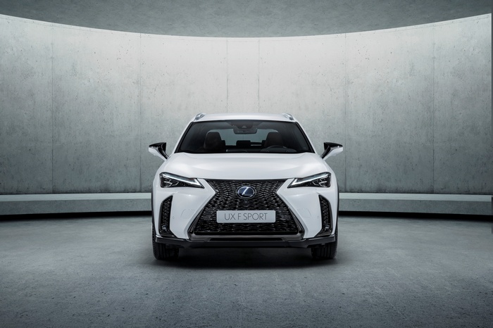 Lexus UX 250h F Sport 4K