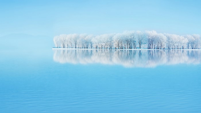 Winter landscape with frosted trees reflected in water