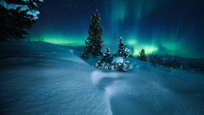 Aurora Borealis over snowy landscape with trees