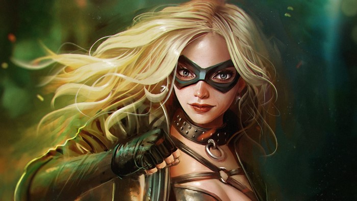 Black Canary from DC Comics