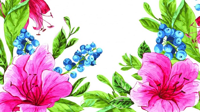 Watercolor flowers and berries illustration